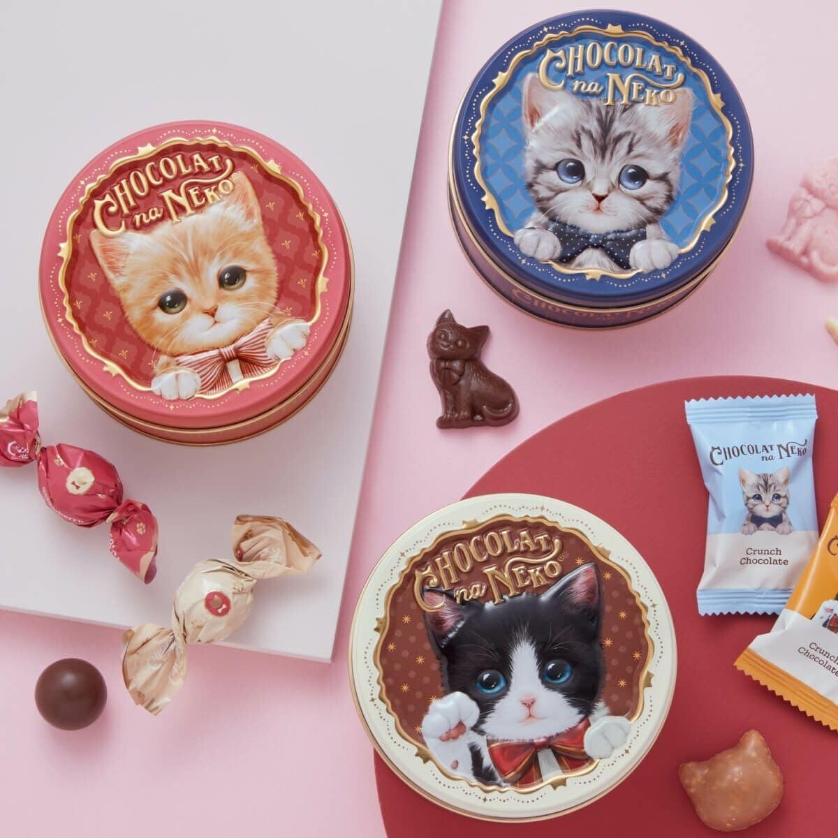 Morozoff Morozoff Chocolate Cat 3-piece set Louis Tramal Cleo from