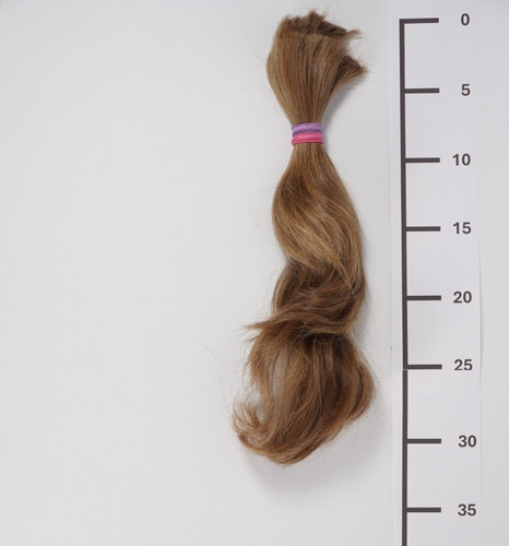 (19)Deutsches Schnitthaar aus unserem Salon, Mittelblond Natur, 15-35cm, 71gr