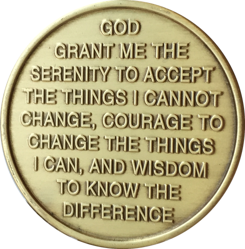 Rose One Day At A Time Serenity Prayer Sobriety Medallion Chip AA NA | eBay