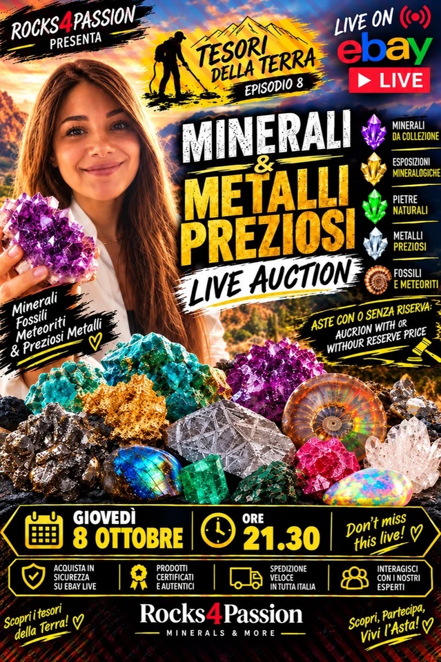 Tesori della Terra 8 | Minerali & Metalli Preziosi | Live Auction