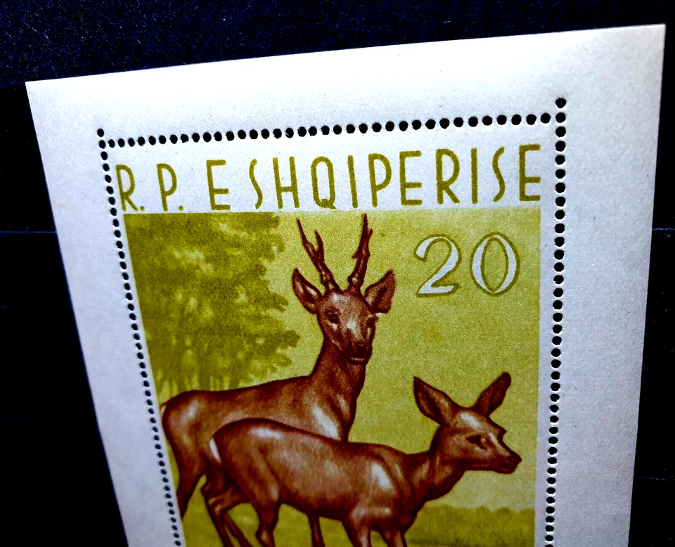 Mini hoja de sello de lujo Albania 1962 animales salvajes ciervos MNH CV $135,00 Foto 4 de 4