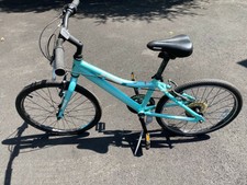 diamondback clarity 24 purple