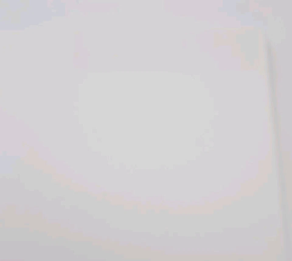 Gamma Single And Multiple Digit Multiplication Instruction Manual Only - Image 2 of 4