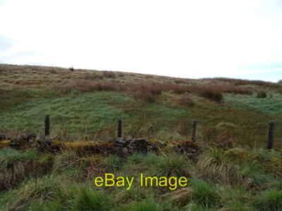 Foto 6x4 Grobe Beweidung neben der B769 Windy-Yett\/NS4750 um 2021
