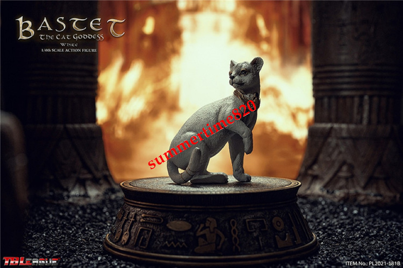 Imagen 6 de 9