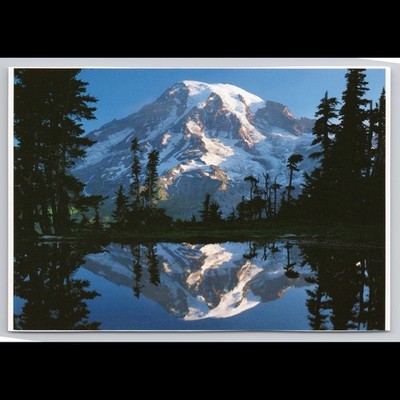 Vintage Mount Rainier Postcard Washington 1989 Unposted Scenic View Historic