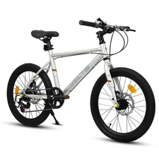 20 inch Children's Bicycle for Boys Girls, 7-Speed Bike with Disc Brakes Grey