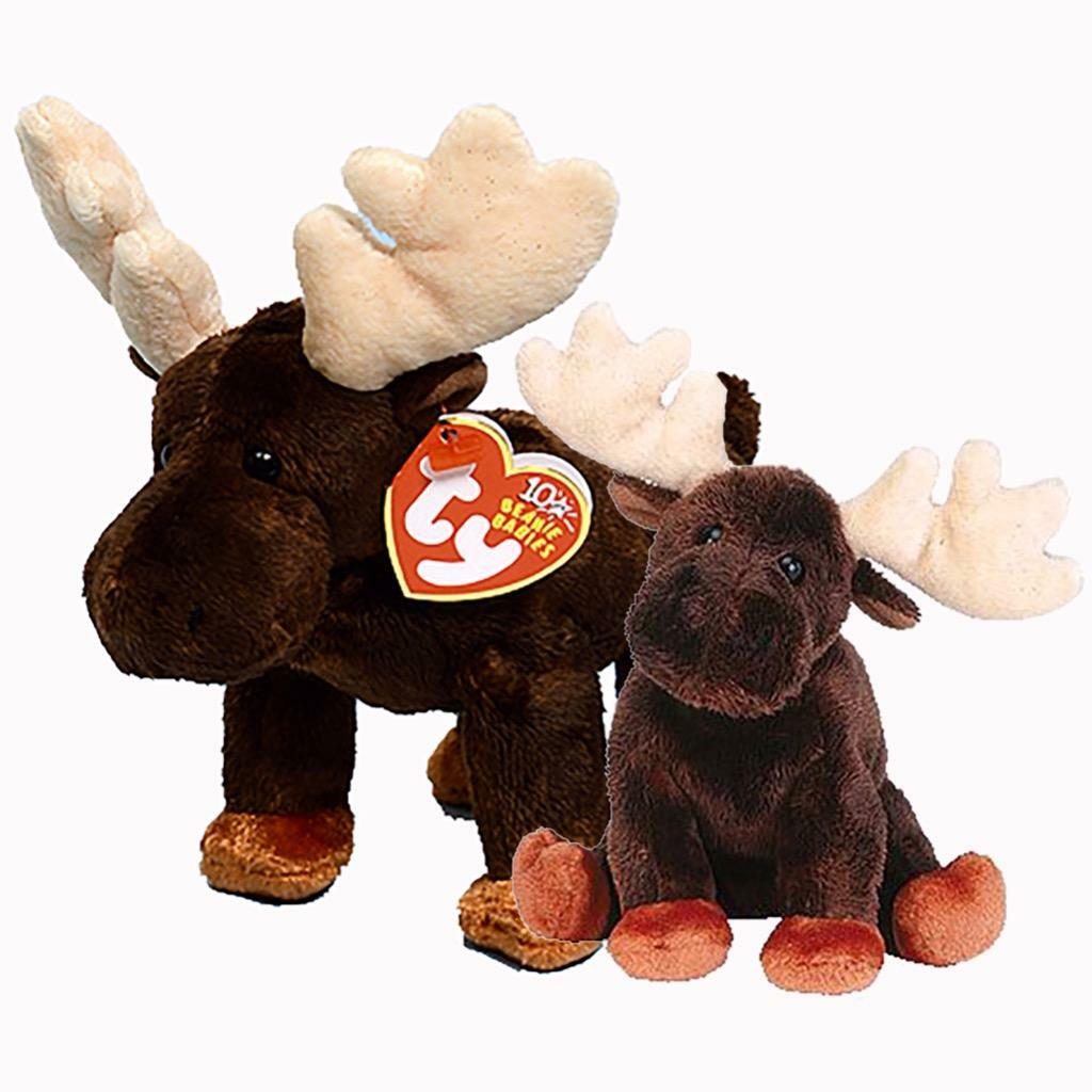 moose ty beanie baby