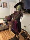 Retired 2010 Gemmy Rhoda Broome with box - Witch Halloween Animatronic Prop — photo 2