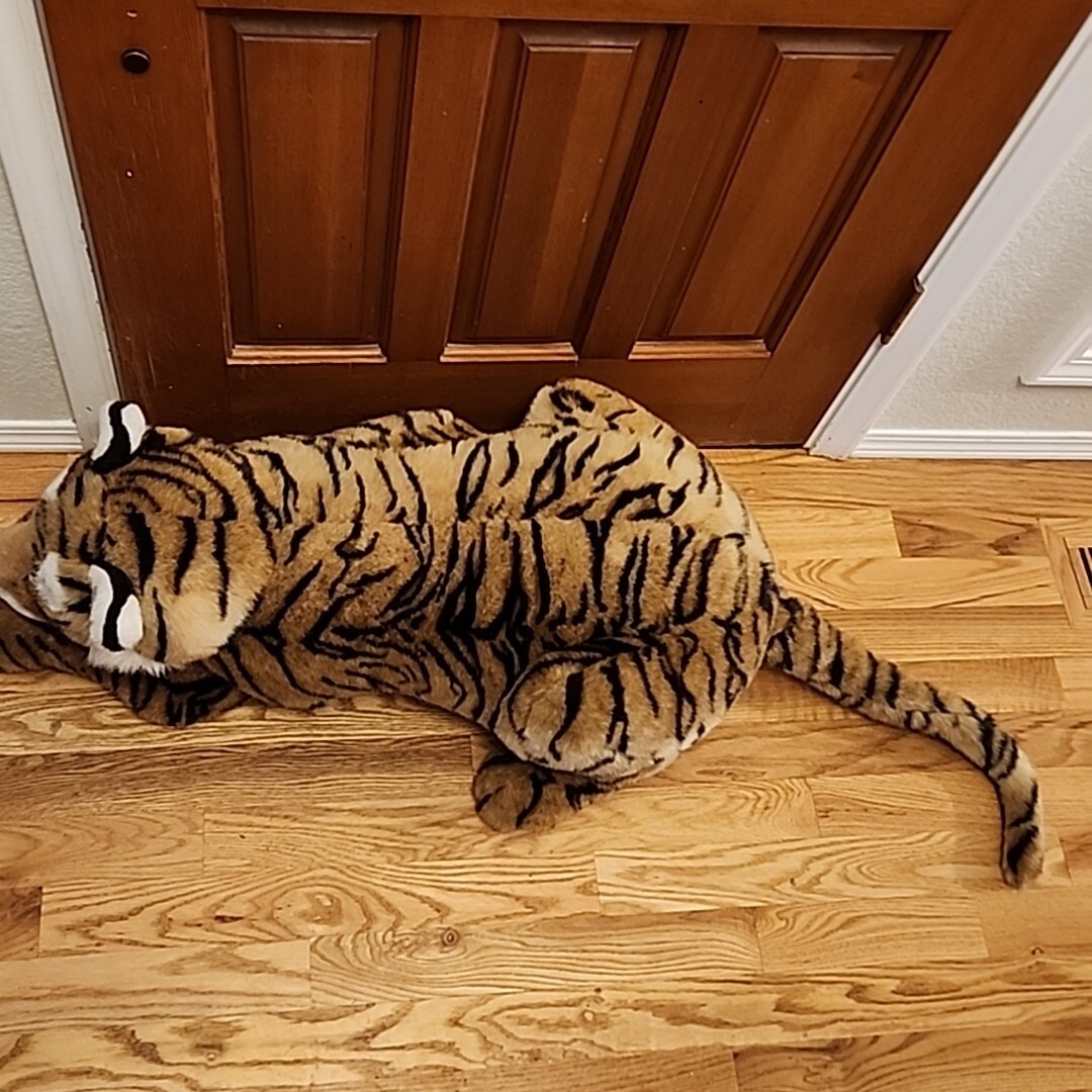 D*A様 BIG TIGER wsb 60