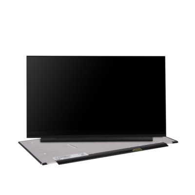Notebook Display passend für Hewlett Packard 15-DK, matt