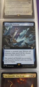 Mtg Raise the Palisade | eBay