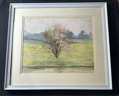 Original signiertes Pastell Kunstwerk ''Dakin'' Blütenbaum Bergtal gerahmt