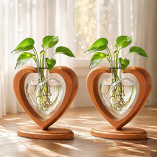 2Pack Plant Propagation Station, Heart Glass Vase  Wooden Stand