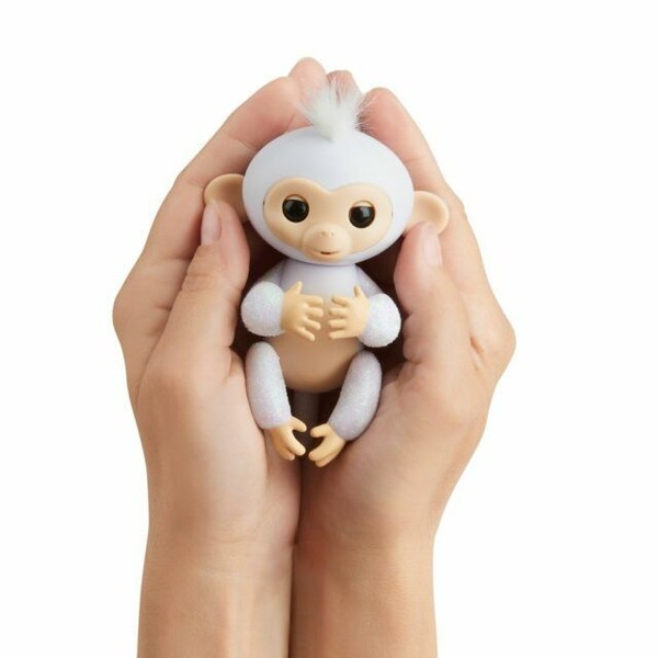fingerlings monkey price