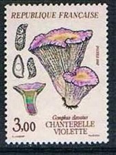France 1987 yt n°2489 MNH ** chanterelle violette