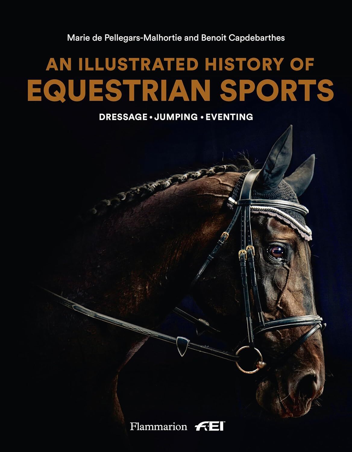 Explore the Illustrated History of Equestrian Sports Including Dressage Jumping and Eventing
