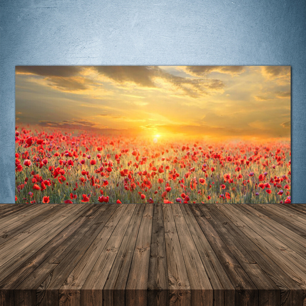 Crédence de cuisine en verre panneau mural 140x70 fond de hotte motif nature pavot