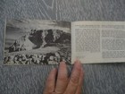 Picture 9 of 14