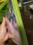 Bild 4 von 4