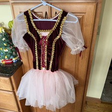 Dance Costume Women  s Tutu Dress Ballet - Purple Velvet Pink Skirt And Sleeve