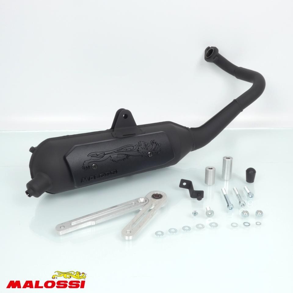 Pot Malossi Wild Lion Kymco 50 Agility 2T pour remplacer un échappement rouillé