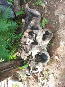 DrRIFTWOOD, LANDSCAPING, ART, AMAZING