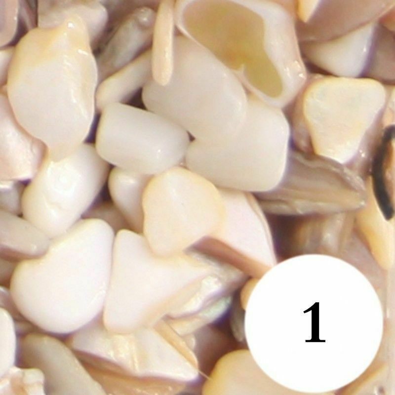 Picture 1