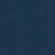 Spradling EZ Vinyl - Automotive Vinyl Upholstery Fabric - 54" Wide