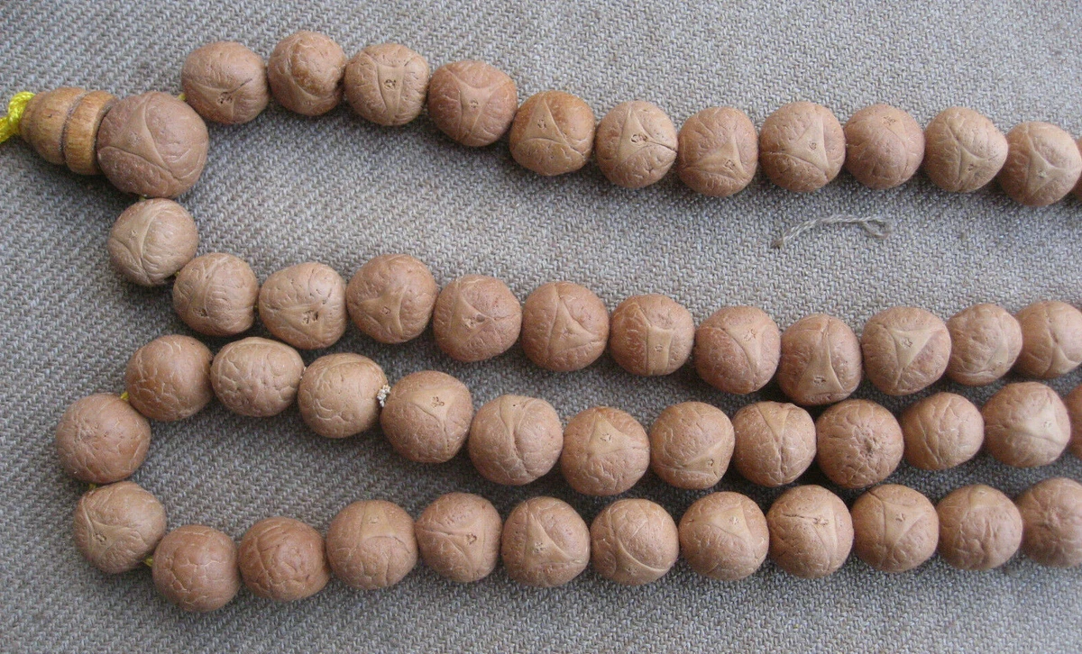 12 mm 3 Eye 108 beads Natural Bodhi Seed Tibetan Buddist Mala, Nepal