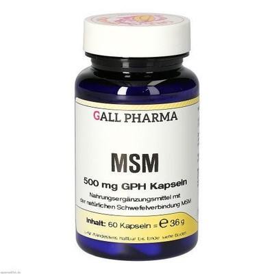 MSM 500 mg GPH Kapseln 60 St