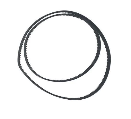 Cinghia Trasmissione Dentata per Macchina Pane BM210, FPM900