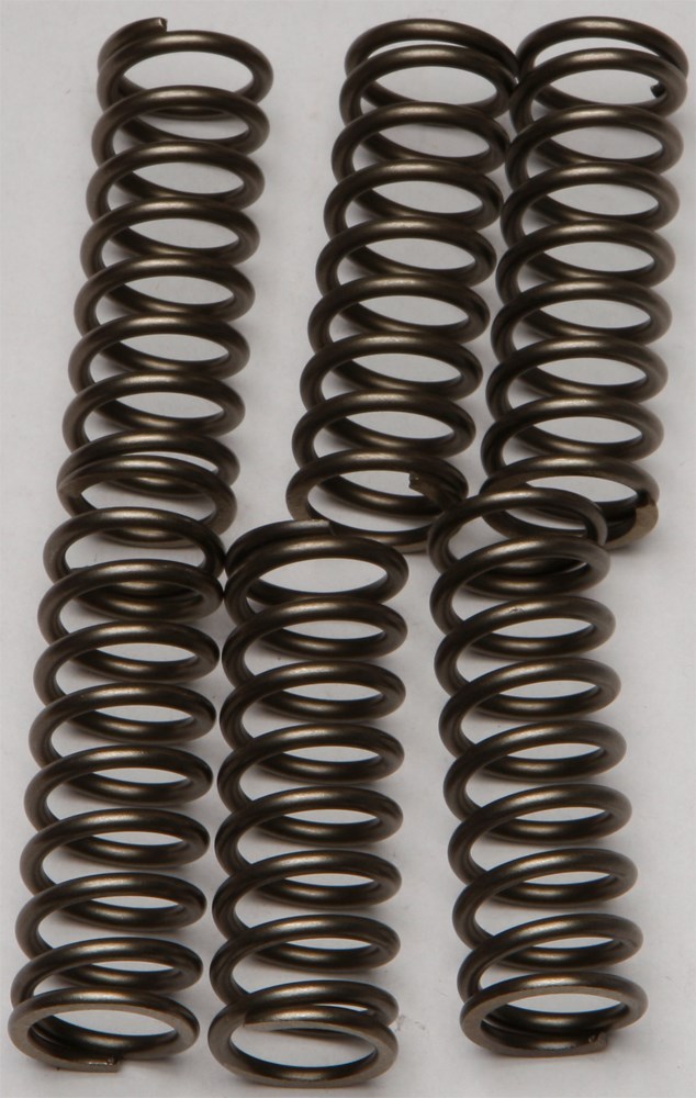EBC - CSK160 - CSK Clutch Spring Kit 10% Stiffer Than Stock
