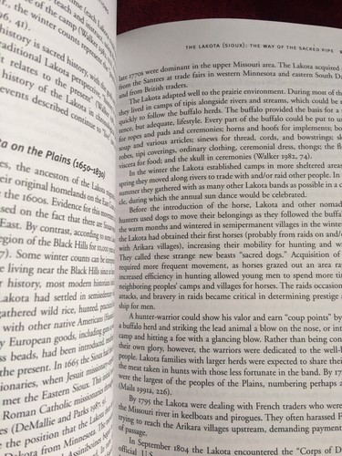 Quest for Harmony spirituelle Traditionen der amerikanischen Ureinwohner William A Young Taschenbuch - Bild 3 von 3