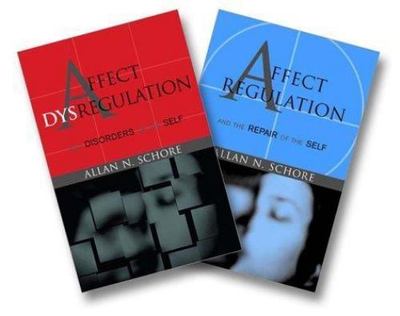 Affect Regulation and the Repair of the Self [Norton Series on Interpersonal Neu