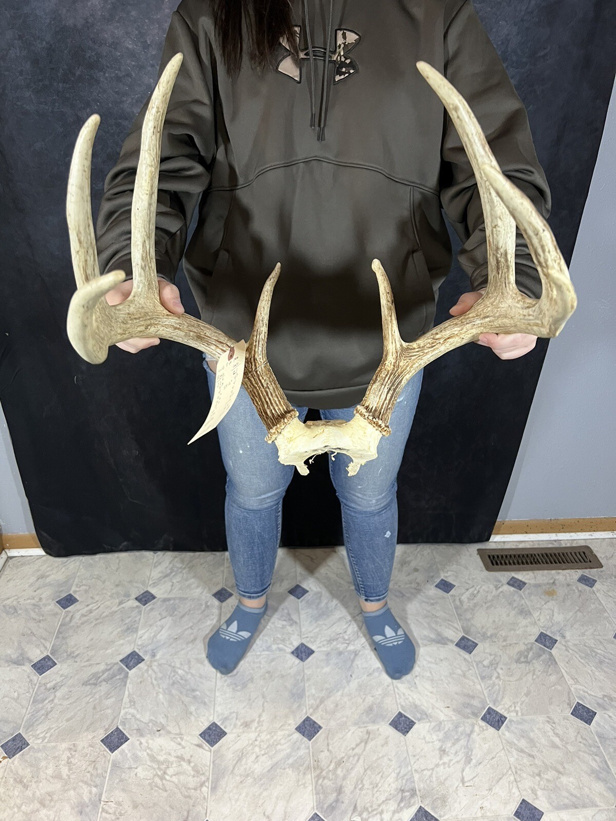 Wild 8 Point Whitetail Deer Antler Rack Horn Skull Plate Decor Cabin