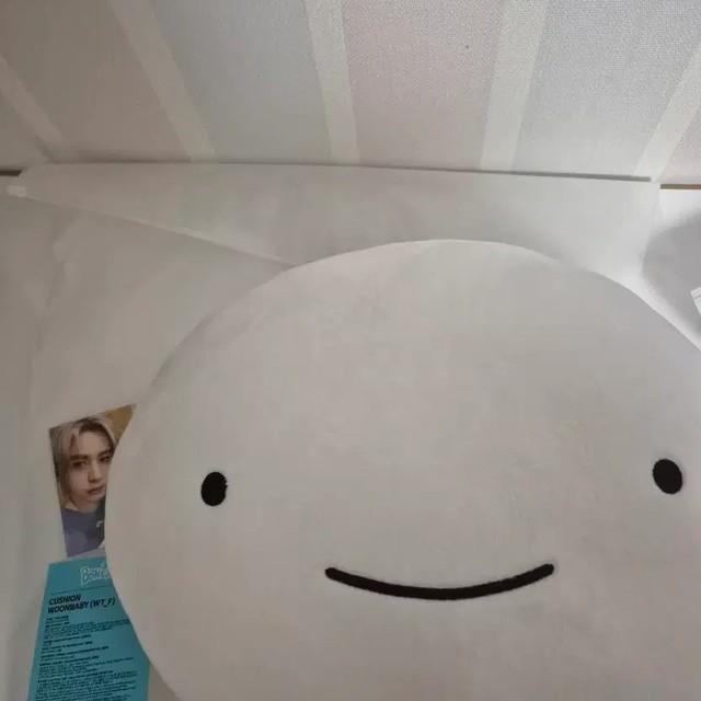 Poneukdo 1st Generation Goods - Unopened Unused Cushion