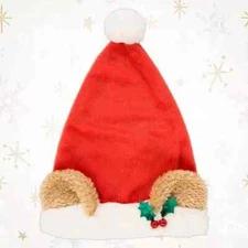 Japan Tokyo Disney Resort Fan Cap Santa cap Duffy ears design 2024 Christmas