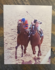 11x14 Photo, Affirmed and Alydar in 1978 Trip...