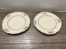 Vintage Myott Son & Co England Floral Plates Set Of 2