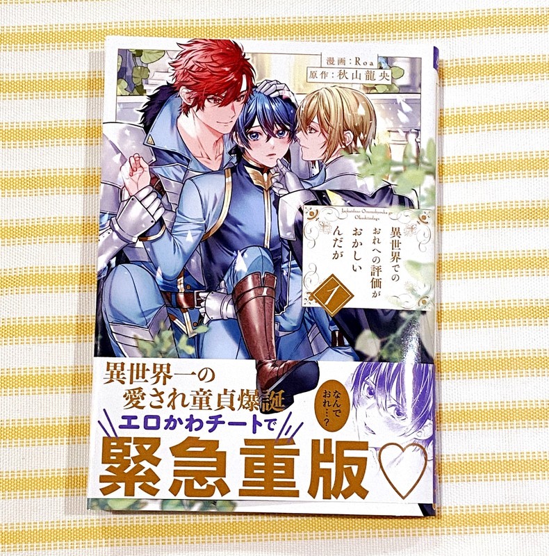 BL Isekai de no Ore e no Hyouka ga Okashiin Daga VOL 1 JAPANESE Manga Boys Love