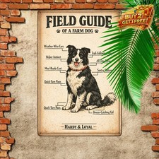 Border Collie Anatomy Text-Free Decorative Tin Sign 8x12 Aluminum Wall Art