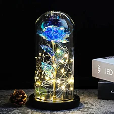 Eternal Galaxy Blue Rose Glass in Dome LED Forever Flower Valentine's Day Gift