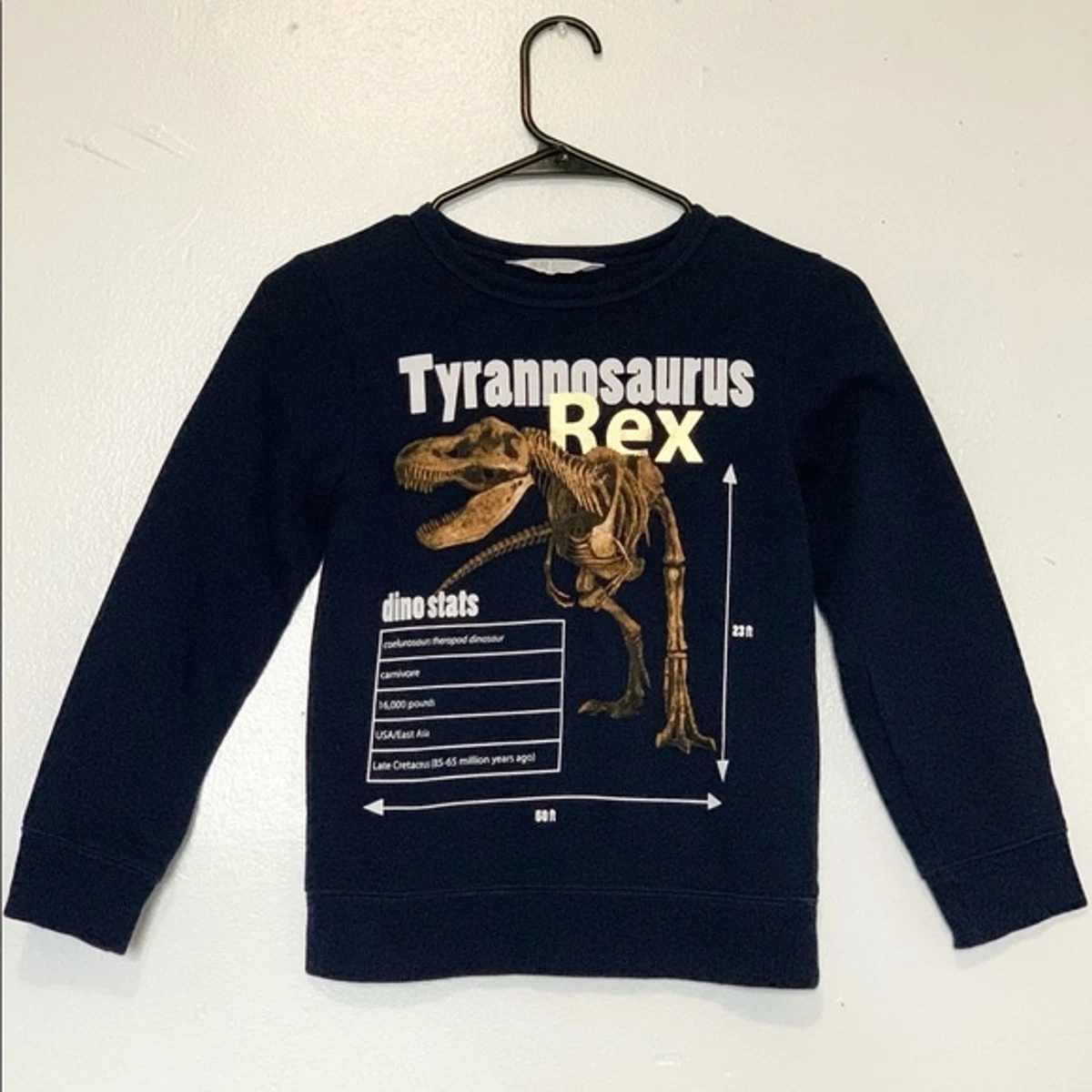 H and m dinosaur jumper sale