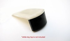 Accordion Keytops Face Plates Round Face Caps for 19.8 (mm) Key Tops (SET of 6)