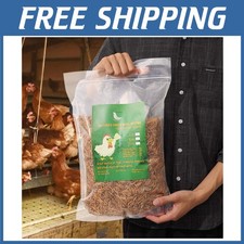 Large Mealworms - Healthy Snack for Reptiles  Birds