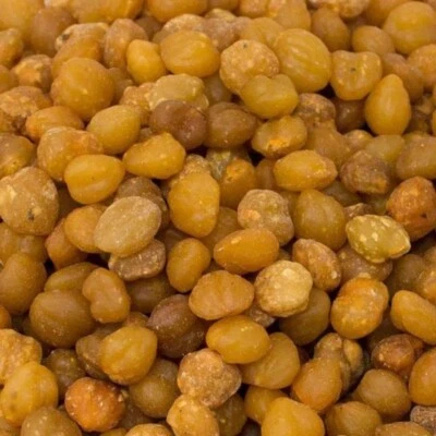 ESPRIT ORIENTAL Graines d’Akpi - الأكبي