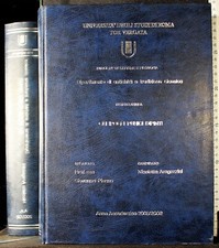 TESI DI LAUREA. GLI IPOGEI PUNICI DIPINTI. NICOLETTA ARAGOZZINI. AUTOEDITATO.