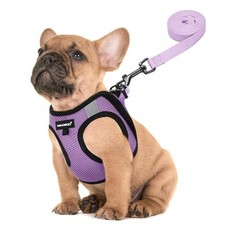 Service Dog Vest for Small Breed - Lightweight Dog Harness with 6PCS Removabl...