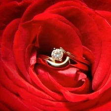 WEDDING DAY (type) Fragrance Oil to craft Candles Soaps Lotions Bath products